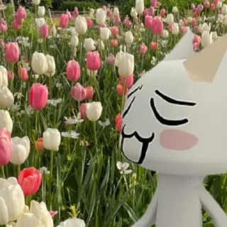 Торо♡