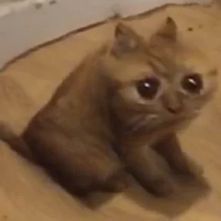 ❤️ Создай стикеры 👉🏻 @EmojiRuBot, стикер Telegram 12 из 26