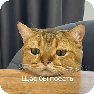 🫥 cheburek, стікер Telegram 12 з 27