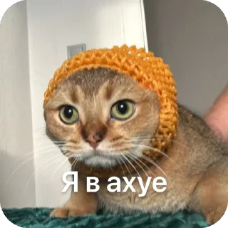 🫥 cheburek, стікер Telegram 20 з 27