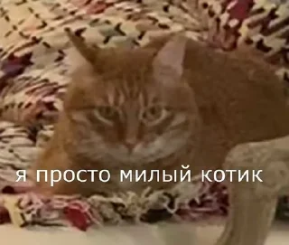 🌟 Тигра, стикер Telegram 20 из 22