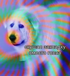 стикеры Мэшки
