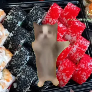 😊 коты, Telegram sticker 7 of 50