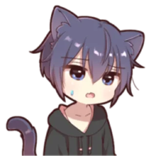 ⭐ Boy of a black cat @nyakwii, Telegram sticker 18 of 32