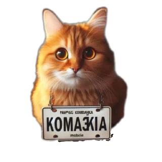 🐱 Dizlakun, стикер Telegram 20 из 38