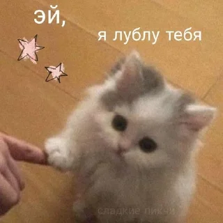❤️ lover lover, стикер Telegram 20 из 21
