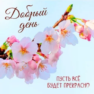 🌸 Открытки бабушки Вари, sticker Telegram 21 sur 118