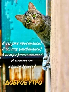 ☯ Доброе утро!!! @djieo, Telegram sticker 13 of 30