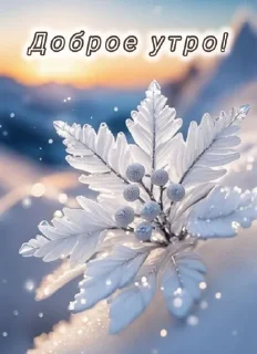 🔯 Доброе утро!!! @djieo, Telegram sticker 16 of 30