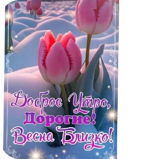 🌷 Православные Открытки @korolpupsikov, sticker Telegram 10 sur 50