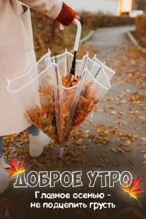 ☯ Доброе утро!!! @djieo, Telegram sticker 20 of 30