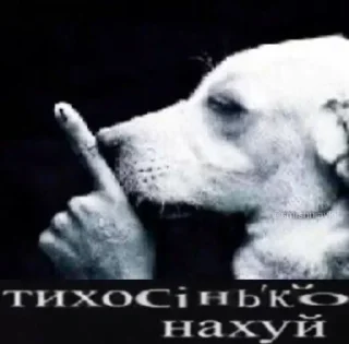 🤫 Бальзак плаче, стікер Telegram 19 з 94