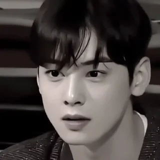 🏷 Cha Eun Woo from:; @helpversace, Telegram sticker 18 of 68