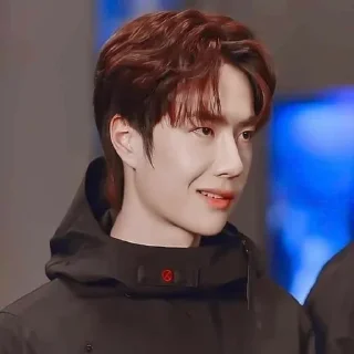 🦁 Wang Yibo, стикер Telegram 5 из 51