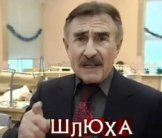 😶 Леонид Каневский лоов, Telegram sticker 12 of 31