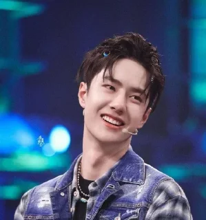 🦁 Wang Yibo, стикер Telegram 19 из 51