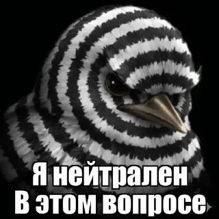😑 Мяу, стикер Telegram 12 из 73