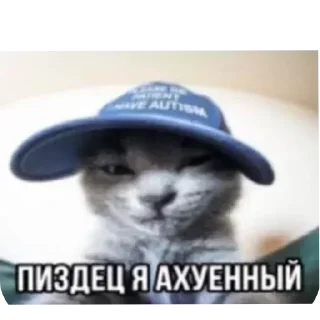 🎩 @STICKRULE <- БОЛЬШЕ, Telegram sticker 9 of 21