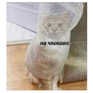 🤓 ДЛЯ ДУШИ :: @louflibe, Telegram sticker 24 of 120