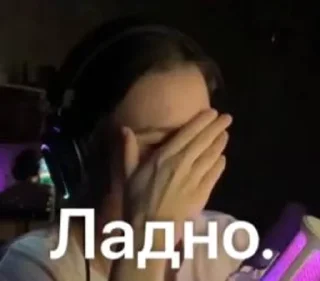 🌟 Саша-Saшлык. twitch.tv/ssellv1, стікер Telegram 17 з 42
