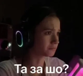 🌟 Саша-Saшлык. twitch.tv/ssellv1, стікер Telegram 10 з 42
