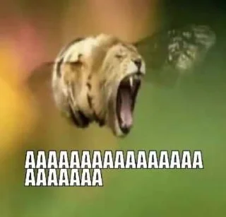 🤯 Rofls, Telegram sticker 1 of 116