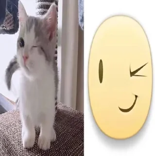🌟 тупа я, Telegram sticker 24 of 51