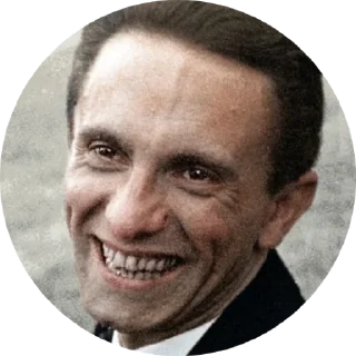 😄 Nazi @ssnazireich, Telegram sticker 24 of 120