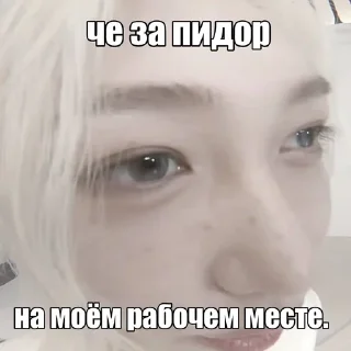 🤨 Феликс by @riiminhoriginal, стикер Telegram 8 из 56