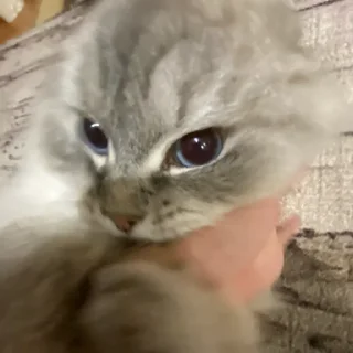 я в ауте
