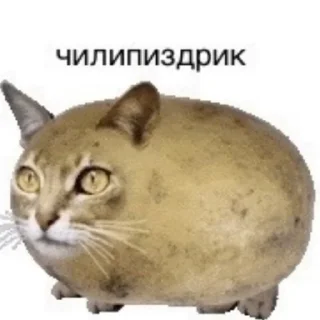 я вахуи