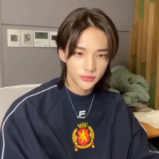 hyunjin fr @stikhoss