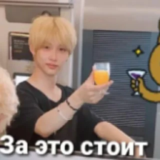 🥃 💙S͓̽t͓̽r͓̽a͓̽y͓̽K͓̽i͓̽d͓̽s͓̽💙, стікер Telegram 17 з 39