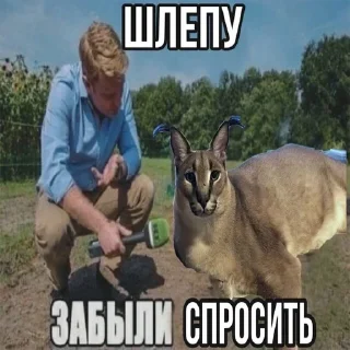 🎙 ШЛЕПЫЧЬ :), sticker Telegram 22 sur 39