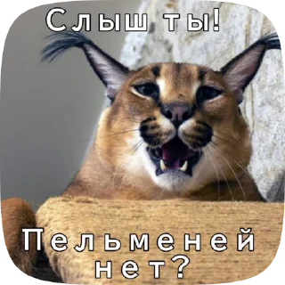 😎 Шлёпа 2, стикер Telegram 11 из 50