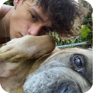 😐 Davidе, sticker Telegram 22 sur 28