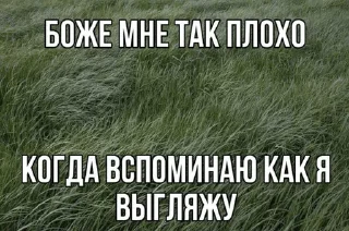 💔 just mirka's китики, стікер Telegram 21 з 120