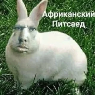 🌟 вп by @abs7rd ᅠᅠᅠᅠᅠᅠᅠᅠᅠᅠᅠᅠᅠᅠᅠᅠ, sticker Telegram 8 sur 50