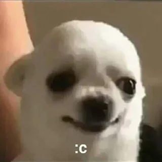 ☹️ чё захуйня, Telegram sticker 11 of 120