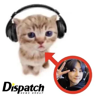 🐱 Kpop mix💫, стікер Telegram 9 з 119