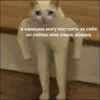 ☁️ анньенхасэйо пт2, стікер Telegram 22 з 120