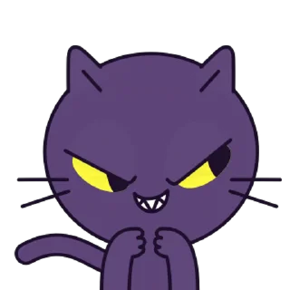 chaos cat