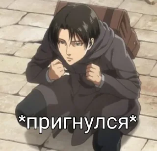 🌝 Levi's bitch, стикер Telegram 6 из 61