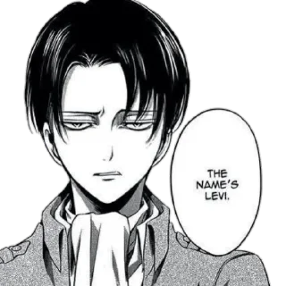 Levi's bitch