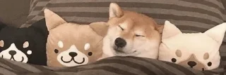 🌟 разделители @lifemkiki, Telegram sticker 16 of 90