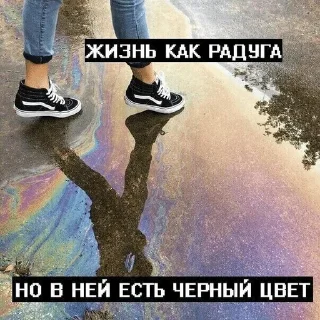 сохры 2к17