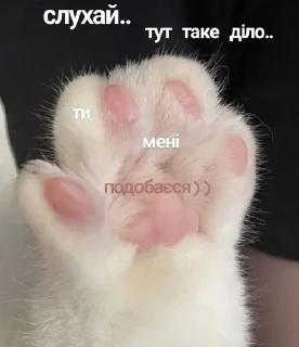 🥺 люблю♡, Telegram sticker 7 of 24