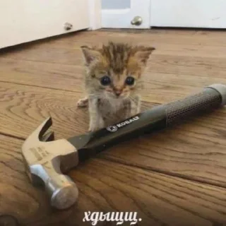 💖 Няшки, стикер Telegram 8 из 19