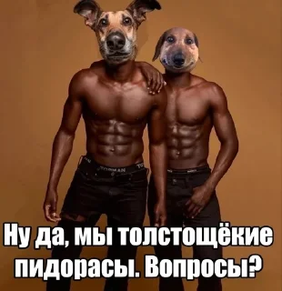 ⁉️ Пес ебани, sticker Telegram 14 sur 22
