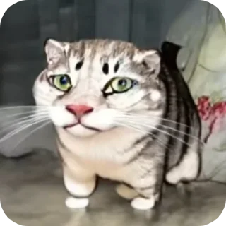 🖼 ᅠᅠ, стикер Telegram 20 из 32